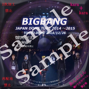 bigbangtokyo2014-s.jpg